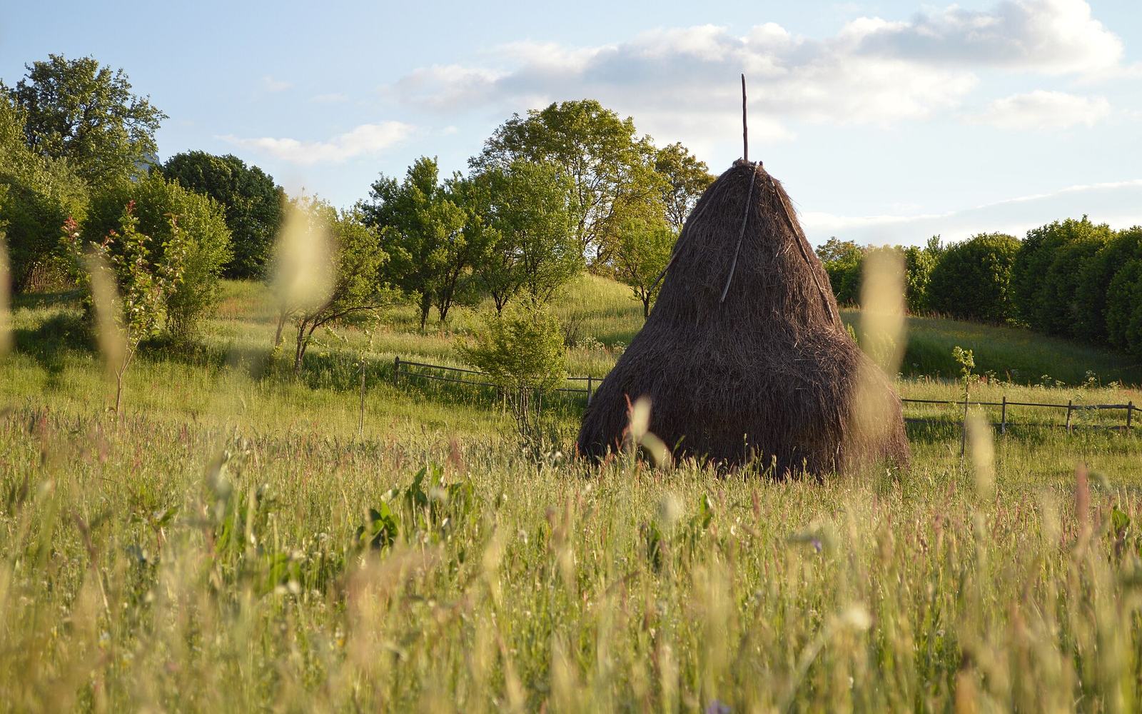 Een gesneden houten poort, kenmerkend voor de dorpen van Maramureș