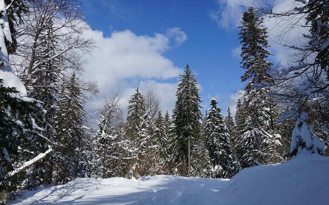 Roemenië in de winter
